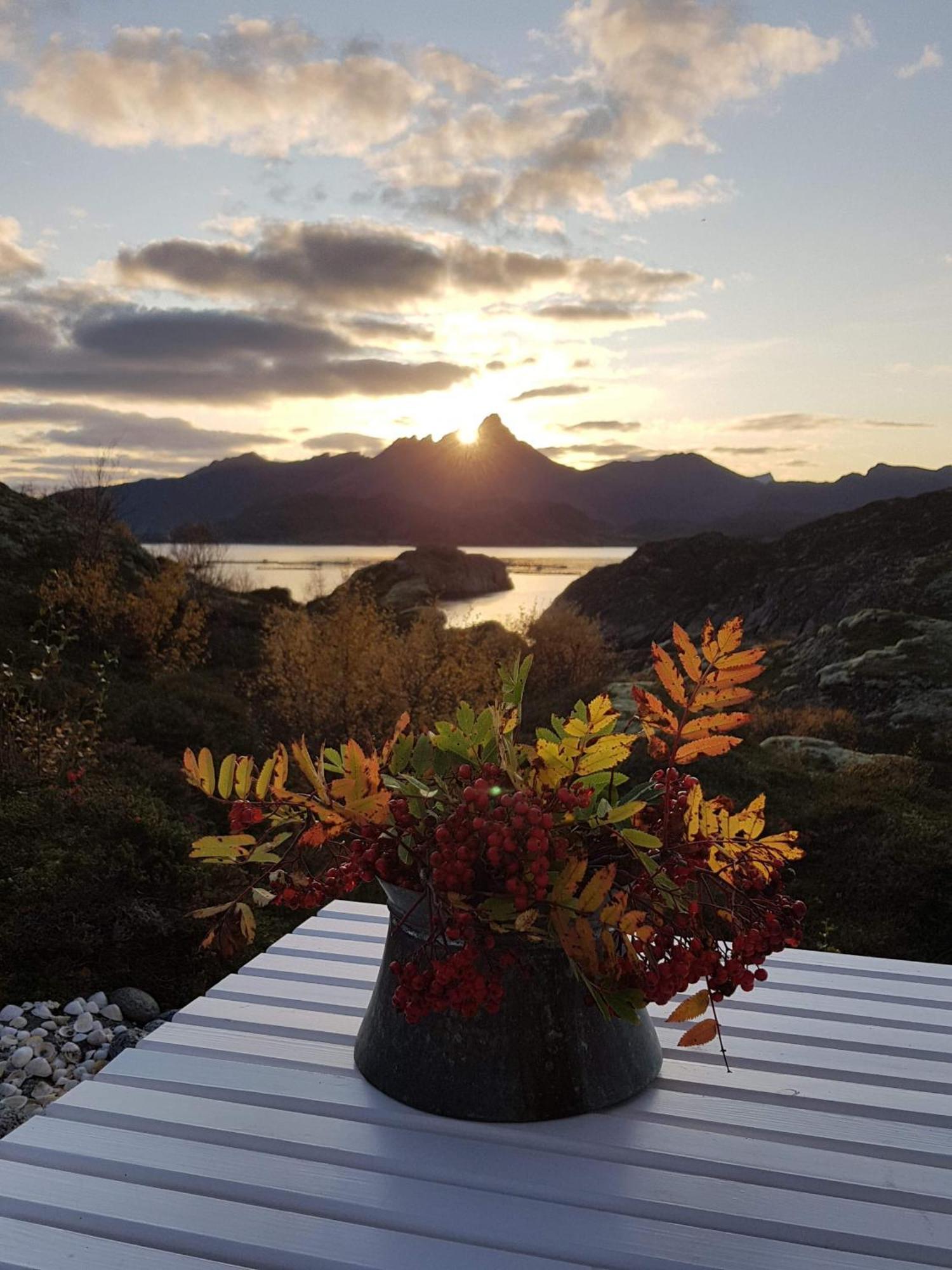 Unique Private Cabin In Lofoten Villa เลคเนส ภายนอก รูปภาพ